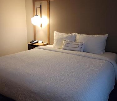 Athens Hotel | Fairfield Inn & Suites by Marriott Athens