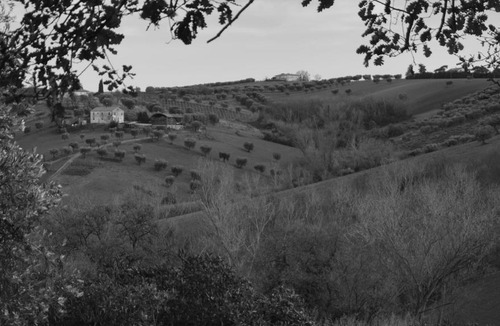 Colonnella Apartment | Fattoria Riomoro