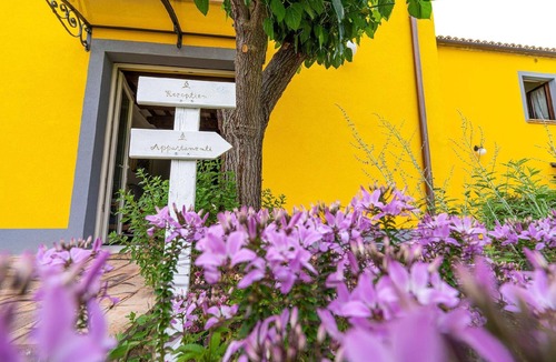 Cessapalombo Apartment | Flat 'Ginestra' with shared pool
