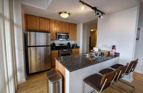The Loop Apartment | Grant Park 2BR Condo with Balcony Skyline View & Gym in Chicago Downtown