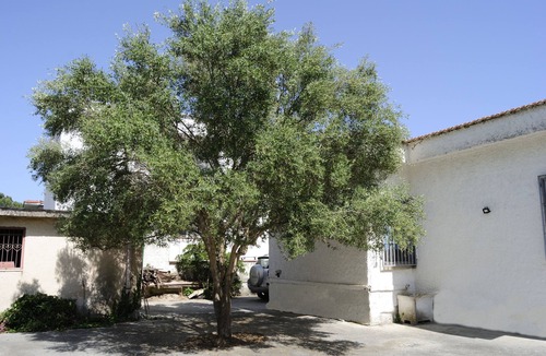 Castel Volturno Villa | Holiday home
