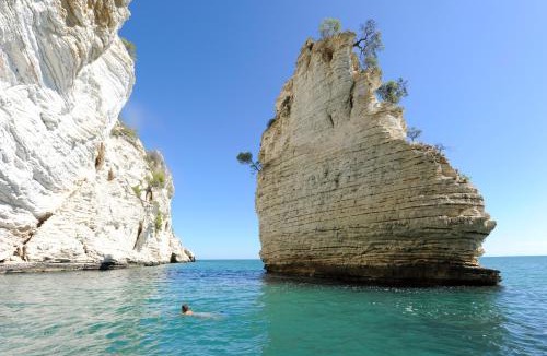 Vieste Hotel | Hotel degli Ulivi