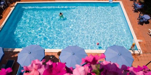 Martinsicuro Hotel | Hotel Leuco'