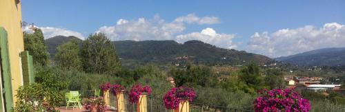 Collodi Apartment | Il Campano