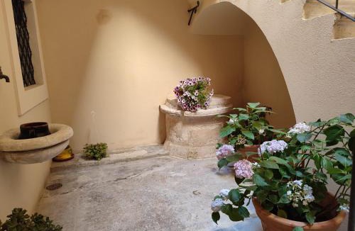 L'Aquila House | Il Vico Del Drago