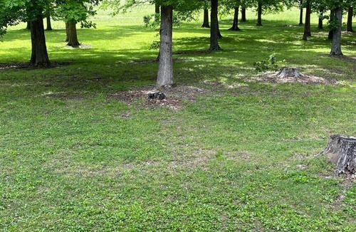 Dickel House | Isolated wooded home safe and quiet. Perfect for getting away from it all!