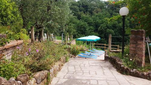 Palaia Villa | La Canonica di Alica