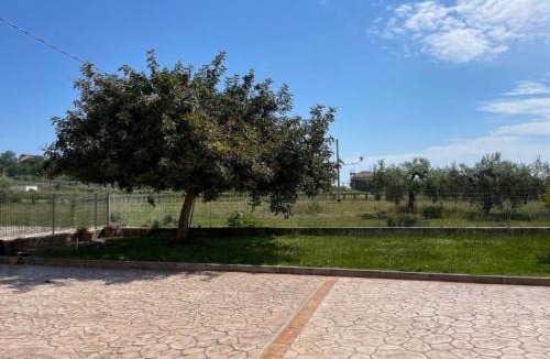 Casalbordino House | La casa di Michela