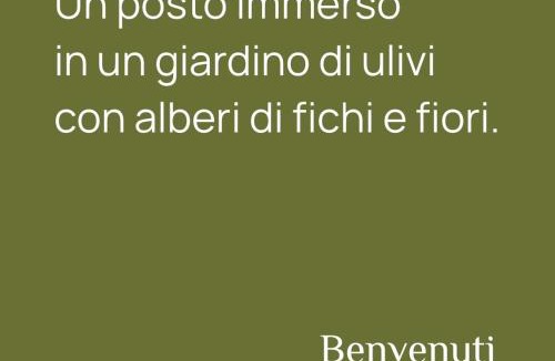 Torchiara House | Malachè