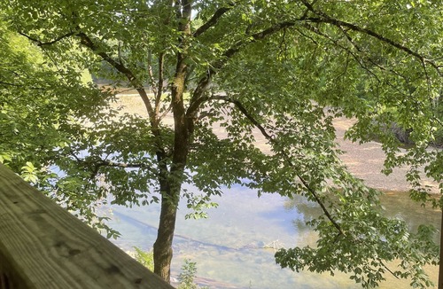 Olivehill Cabin | Mama Bears Cozy Creekside Cabin at Up The Creek