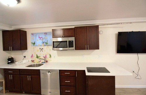 Mount Rainier Bed & Breakfast | NE DC LUX 2BR New Stylish Modern Sunny lowerApt