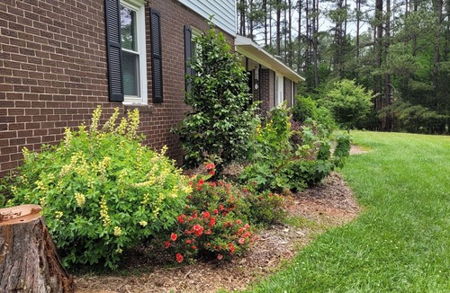 Rock Hill Apartment | New! Clean, comfortable studio apartment. Close to Charlotte.