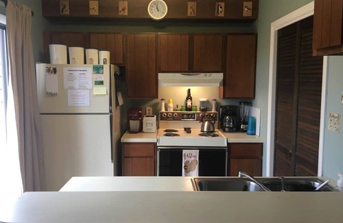 Wintergreen Condo | New listing- Five minute walk to slopes and village!