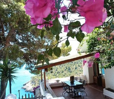 Vieste Villa | NSM Villa Carlotta E Villa Guarda che Mare in Vieste - Gargano- Puglia