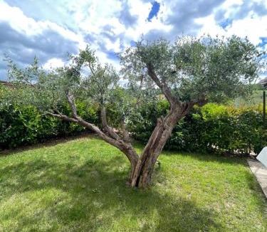 Colbordolo Apartment | Oasi del Convento