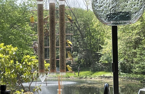 Canton House | Panoramic water views. Floor to ceiling glass .Live amongst nature