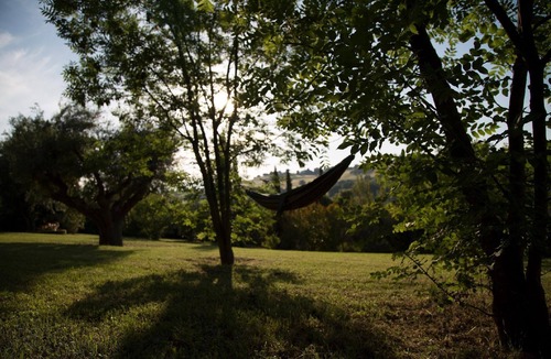 Ostra House | "Pet friendly 'Cottage Glicini' with pool and view