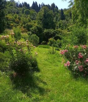 Colbordolo Bed & Breakfast | Piccolo Gesto d'Affetto