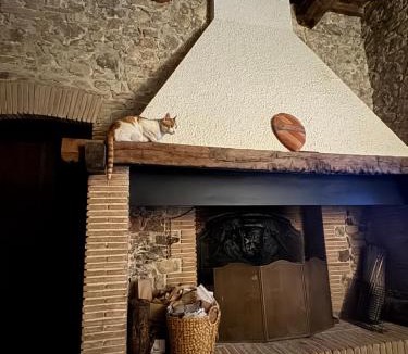 Baschi Resort | Podere Le Marene