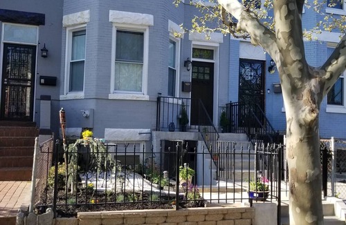 Eckington Apartment | Private DC Apartment - 1BR - Walk to Metro - Explore Washington DC