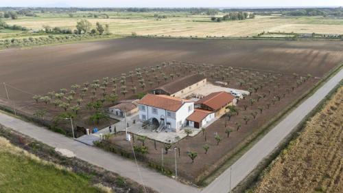 Cellole Resort | Relais Terramare