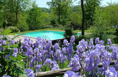 Proceno Other | Romantic accommodation, in a castle, with swimming pool
