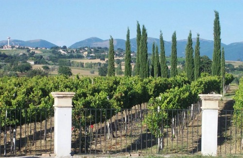 Montefalco Apartment | Room 'Cipriano' with Shared Garden, Wi-Fi and Air Conditioning