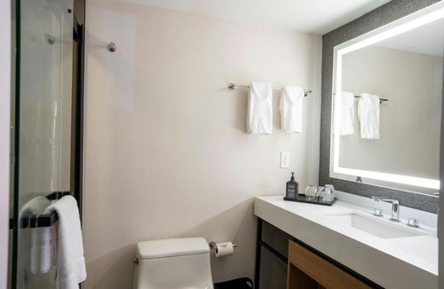 Downtown Niagara Falls Hotel | Sheraton Niagara Falls