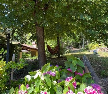 Marzabotto Villa | “SPArisio” CASA IN SASSO CON PISCINA E CAMPO DA TENNIS