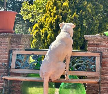 Gubbio Bed & Breakfast | Studio Della Fiamma