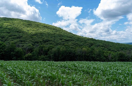 Town of Copake RV Rental | Tentrr State Park Site - NY Taconic State Park: High Valley Rd Site A