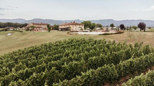 San Piero a Sieve Resort | Tenuta Le Tre Virtù