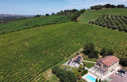 Monterado Villa | Tenuta Marino - Piscina e Tramonti Unici tra i vigneti
