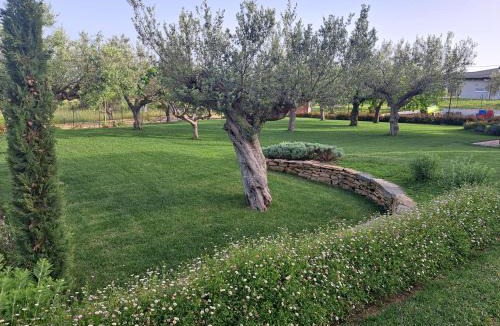 Rocca San Giovanni Bed & Breakfast | Tenuta Porello