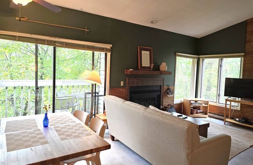 Nellysford Condo | Updated! Cozy and clean two bedroom condo.