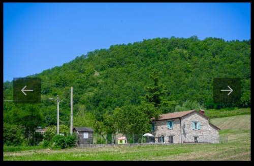 Montegrimano Villa | Villa Coccole
