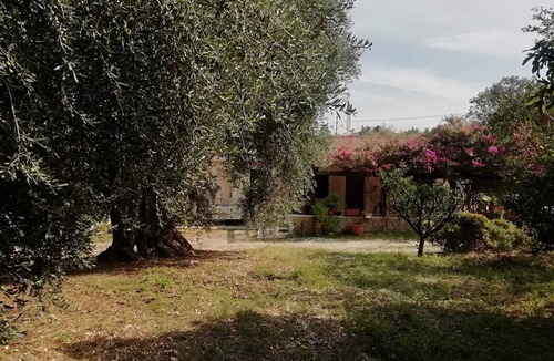 Rodi Garganico Villa | Villa degli Ulivi - Gargano National ParkFree Wi-Fi Internet