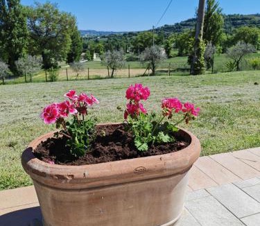 Bevagna House | Villa del Colle Bevagna