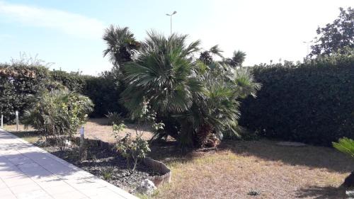 Municipio 5 Bed & Breakfast | Villa Del Mar