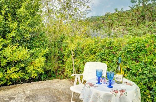 Portoferraio House | Villa Il Viburno