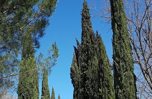 Palaia Villa | Villa Marae in Tuscany - Stunning Villa With a Pool and Tennis Court