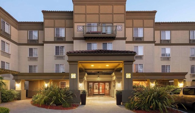 4 Executive Suites | 1 Bed Each | Near Dining & Shopping
