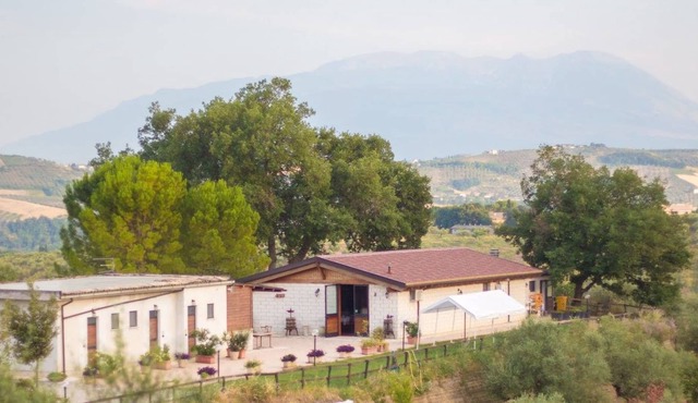 Agriturismo Collecera