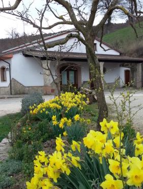 Agriturismo Il Regio Tratturo