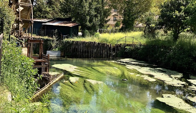 Albergo Mingone