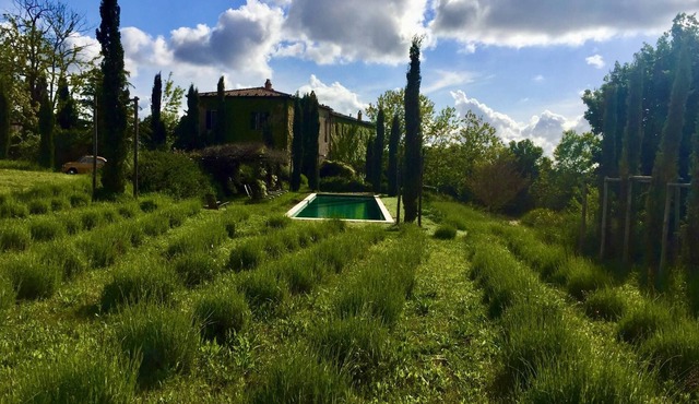An Ancient "Convento" in Tuscany now with Pool for a Great Holiday