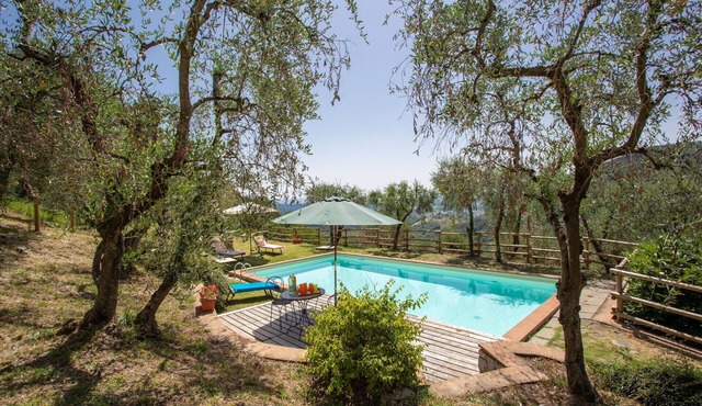 Apartment in villa with pool, WIFI, TV, patio, pets allowed, panoramic view, close to Lucca