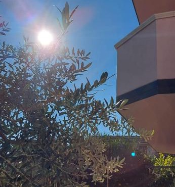 Appartamento L'Ulivo