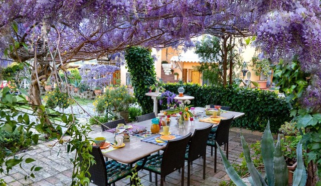 B&B Glicine