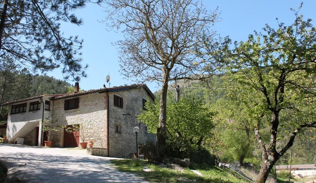 B&B Paradiso